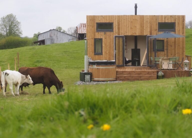 L'instant bucolique - Thiérache - 02 - Tiny house